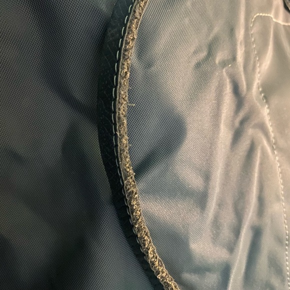 LONGCHAMP PLANETE LIMITED MADE IN FRANCE BUTTERFLY Tote CHIC FLAW COTTAGECORE - Picture 6 of 16